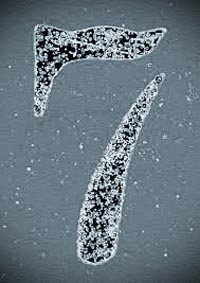 Number 7
